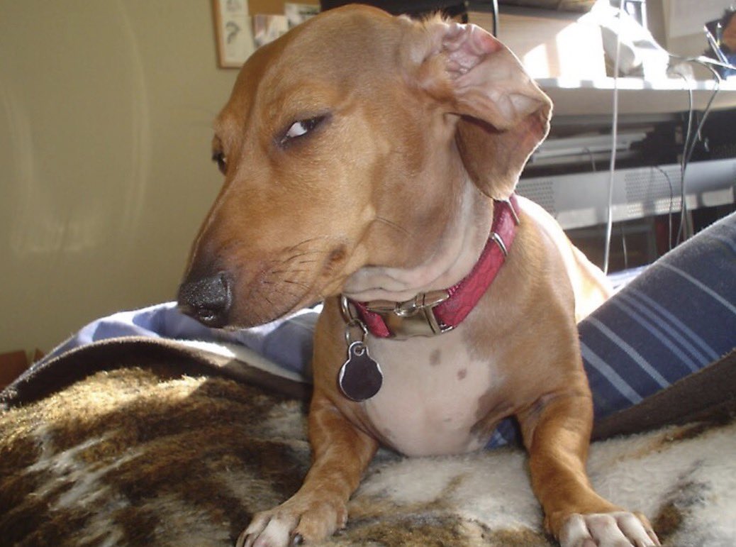 Mike Dudas tweet media