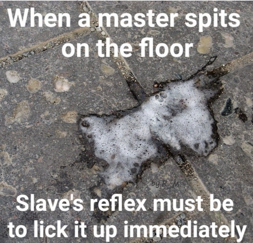 Old german Slave tweet media