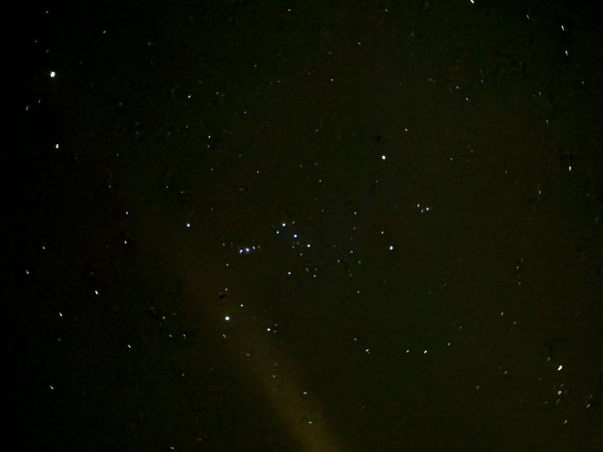 一抹微笑. tweet media