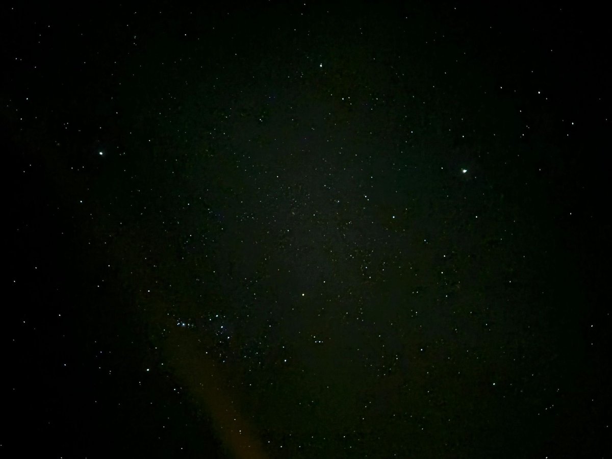 一抹微笑. tweet media