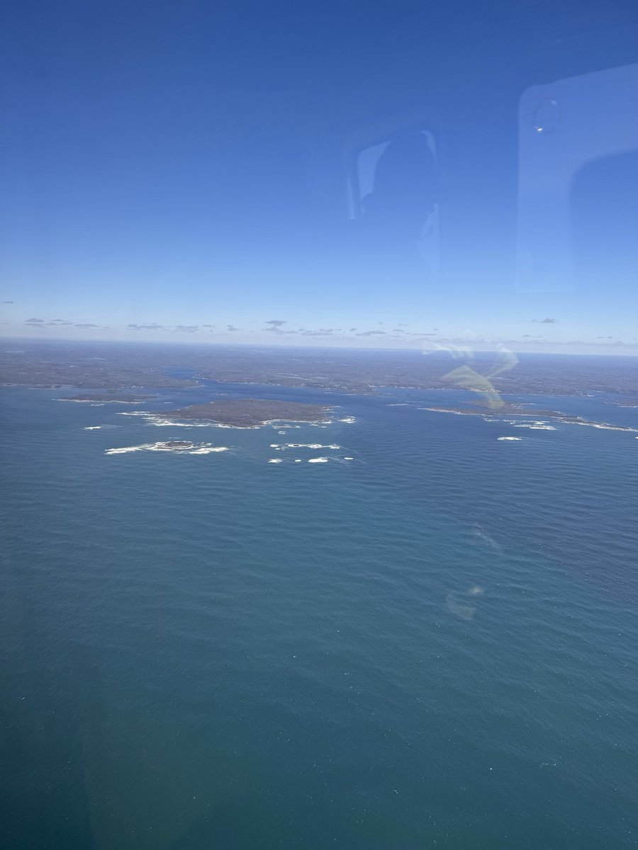 WW2DX (Lee) tweet media