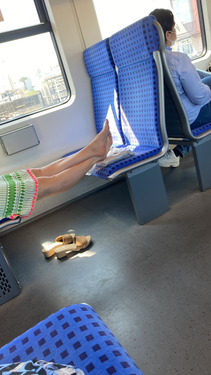 tom scavo hate account 🇵🇸 tweet media