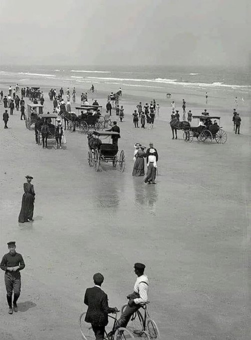 The Salty Dog Galveston tweet media