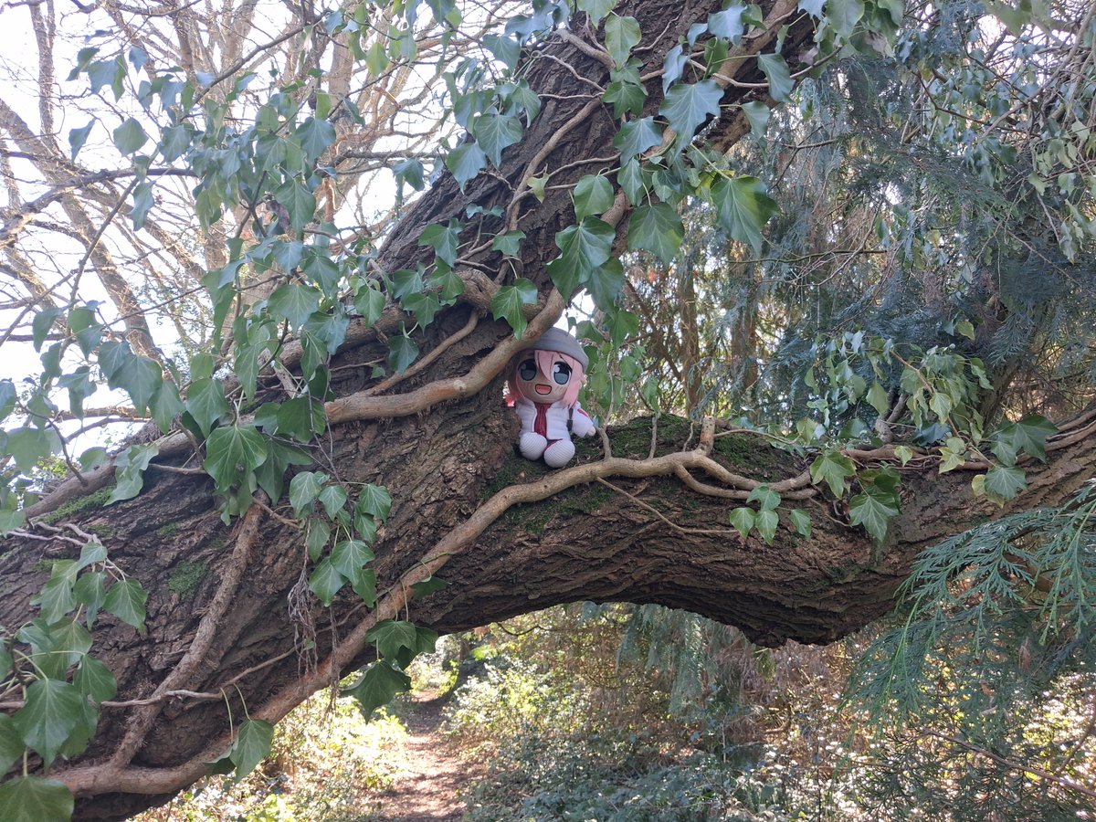 Beachmaster tweet media