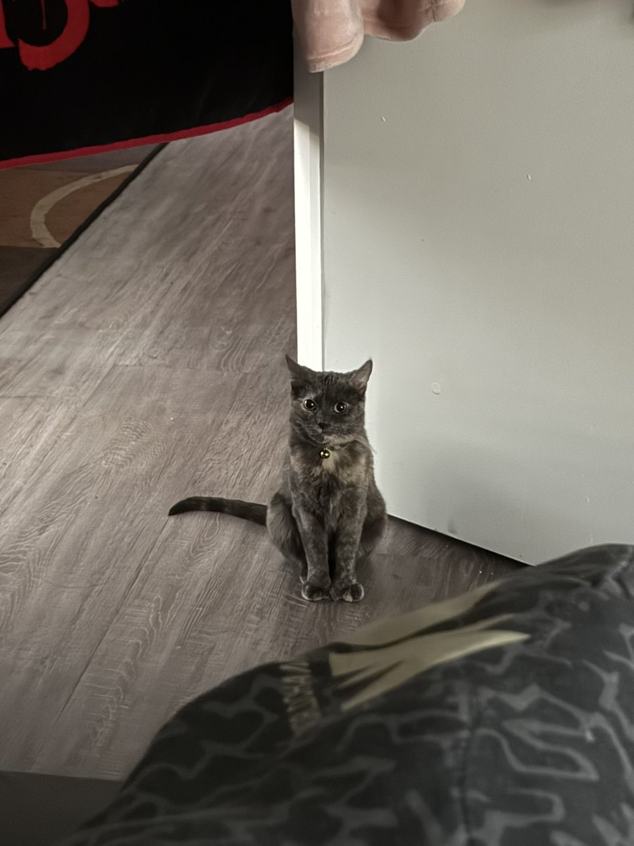 Gypsy Mac🎀🖤 tweet media