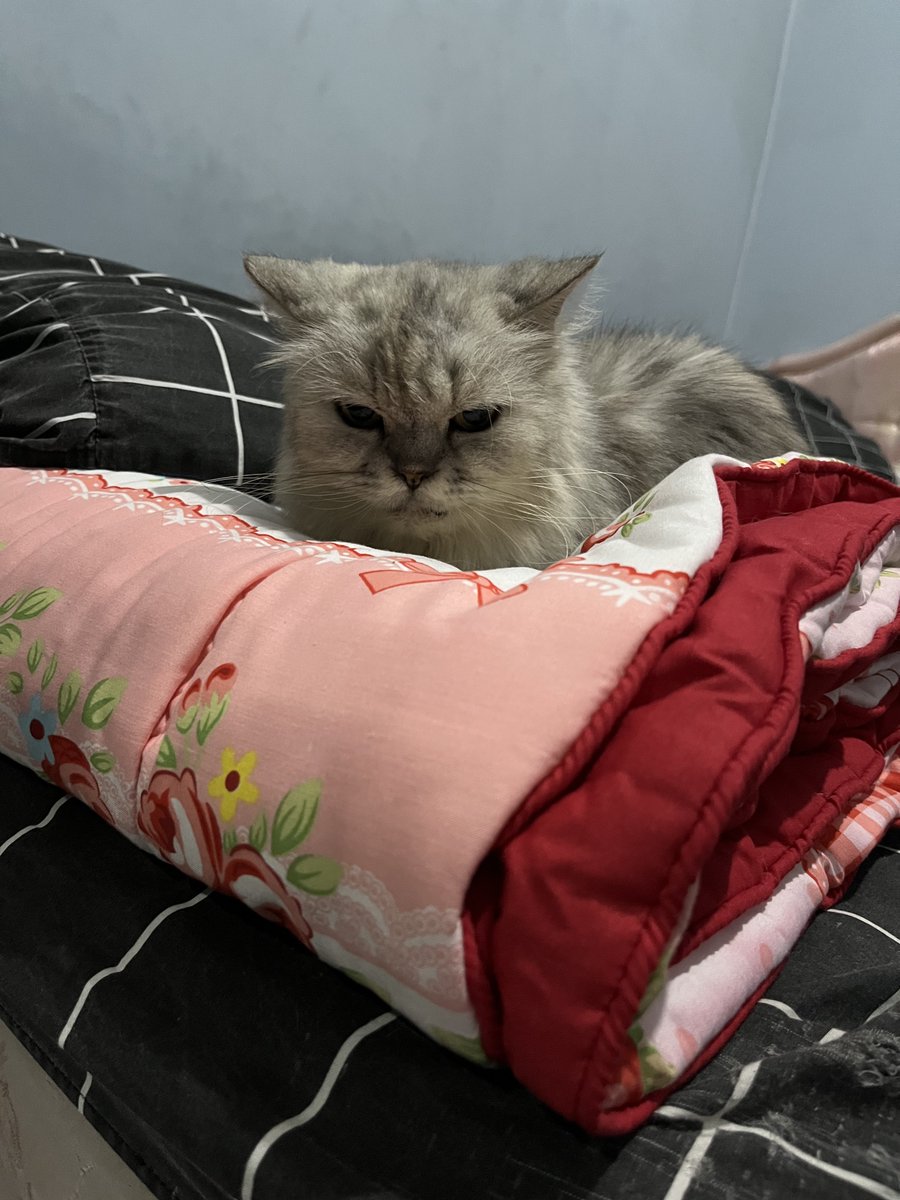 Yukawari tweet media