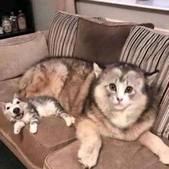 SethoJunk🐛💚 tweet media