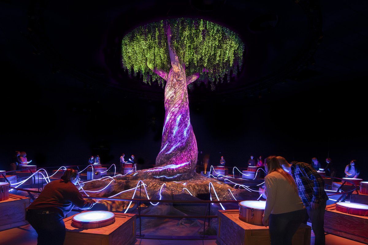 blooloop tweet media