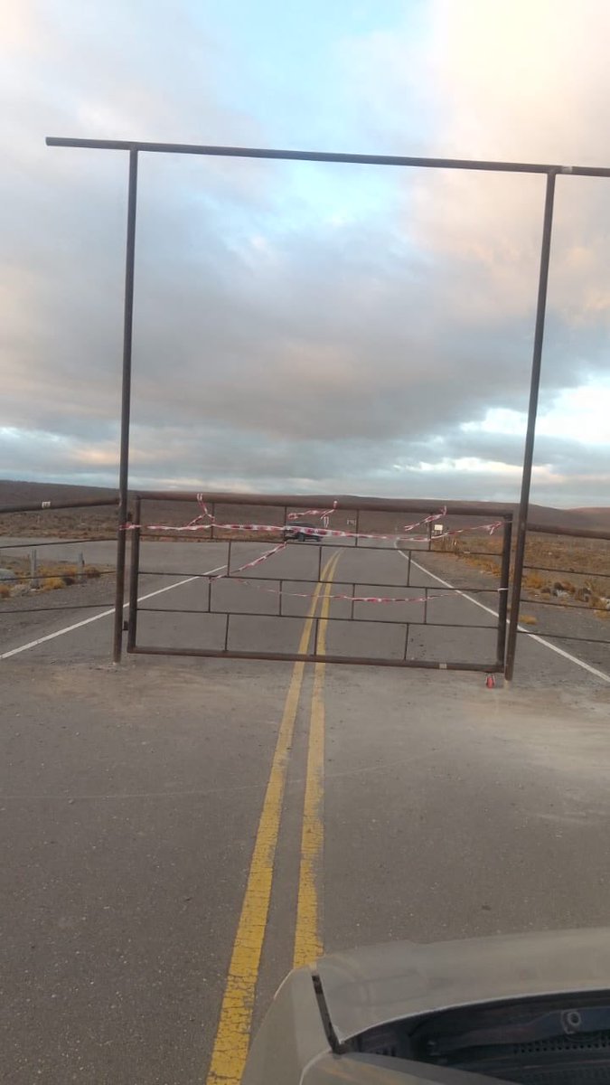 Revista Cítrica tweet media