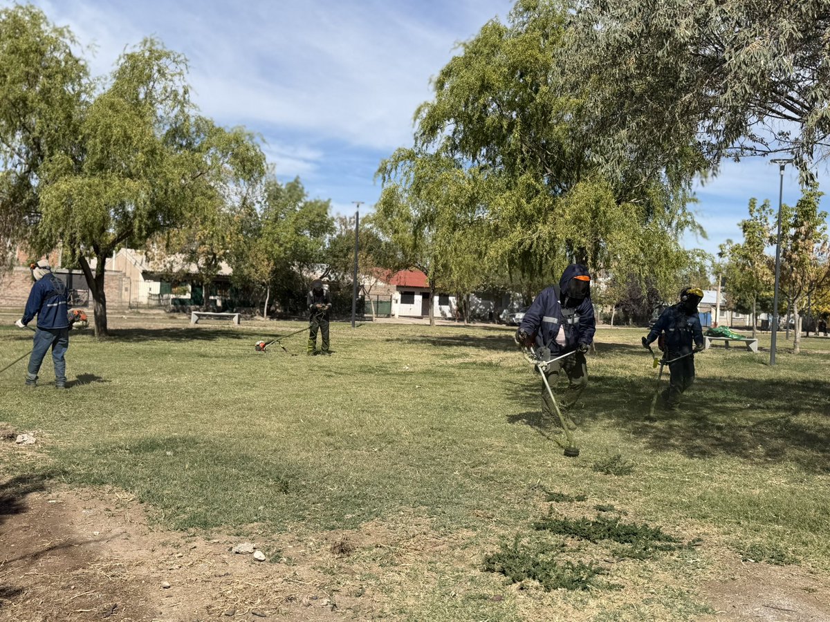 Rodrigo Buteler tweet media