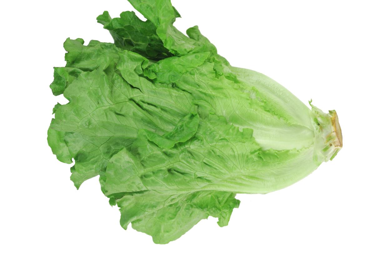 Viviana Naspiran tweet media