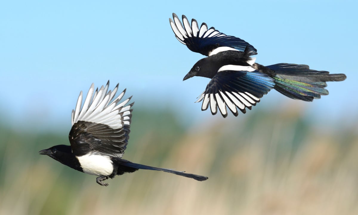 Jord 🏴󠁧󠁢󠁥󠁮󠁧󠁿 tweet media