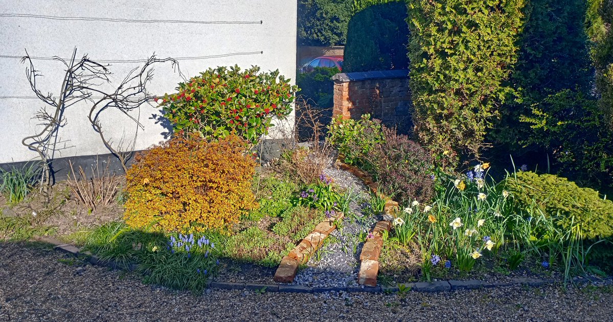 Stephen Wigmore tweet media