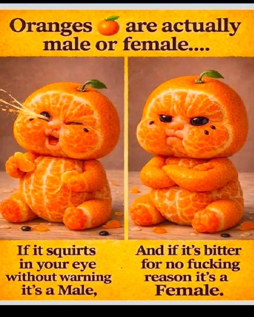 Mens_Corner__ tweet media