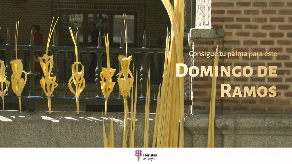 Fiesta de las Flores tweet media