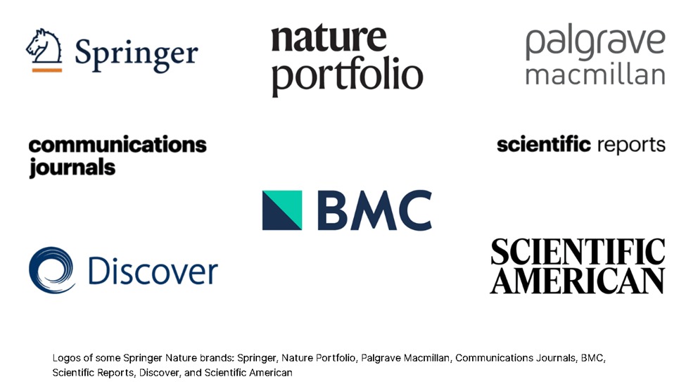 Alina DIMA tweet media