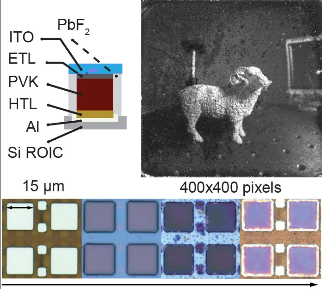 Maksym Kovalenko tweet media
