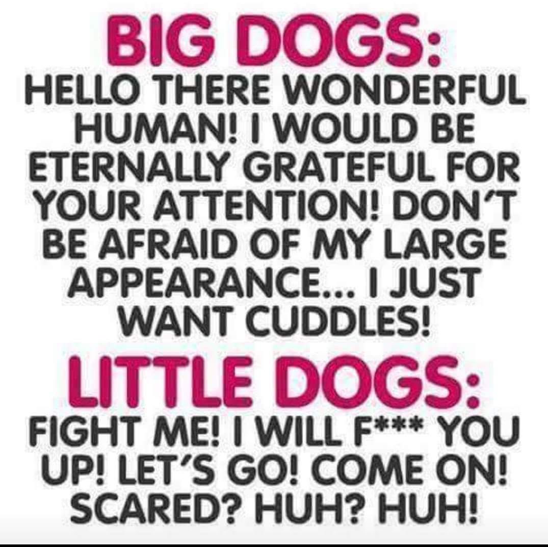 BigNoseKate tweet media