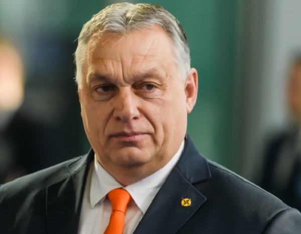 Global Dissident tweet media