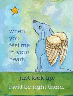 TheEdRadioShow tweet media