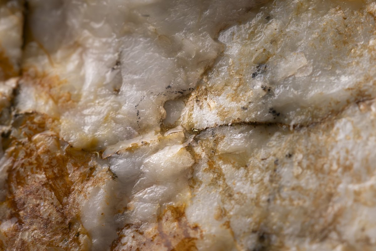 mereditheades's tweet photo. The face of a girl who found her first VG 👇

My first time on site, I picked up a rock with visible gold in it — and that was it. Hook, line and sinker.

How do you not become a bit of a treasure hunter after that?

This one came from Little Edna, and of course we sent it to the lab. We shared the results in our last release if you’re curious.

Second photo is zoomed in on the VG. Still not entirely sure how I spotted it - right place, right time, right sunlight  🤷‍♀️

Pretty excited to get back out there this summer!

https://t.co/t0EQmJjT7W

#VisibleGold #Mining #Exploration #Geology #BritishColumbia