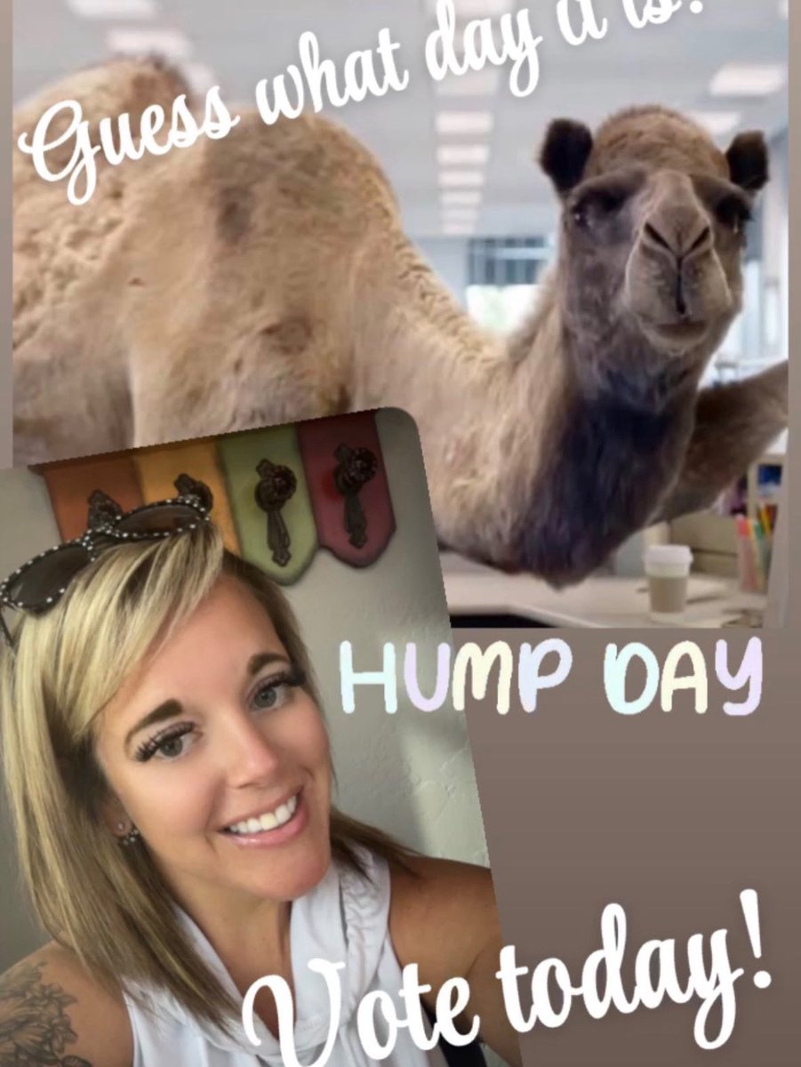 Danielle Morales tweet media