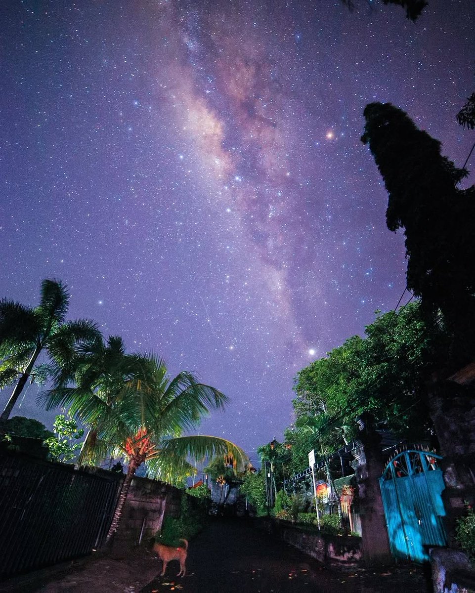 imnotayu tweet media