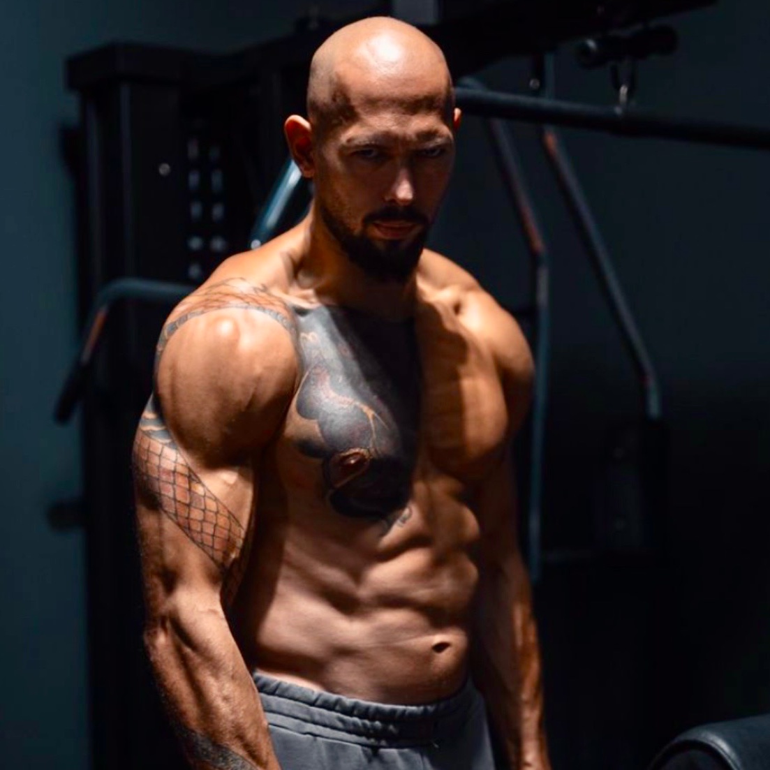 Health & Fitness Campus tweet media