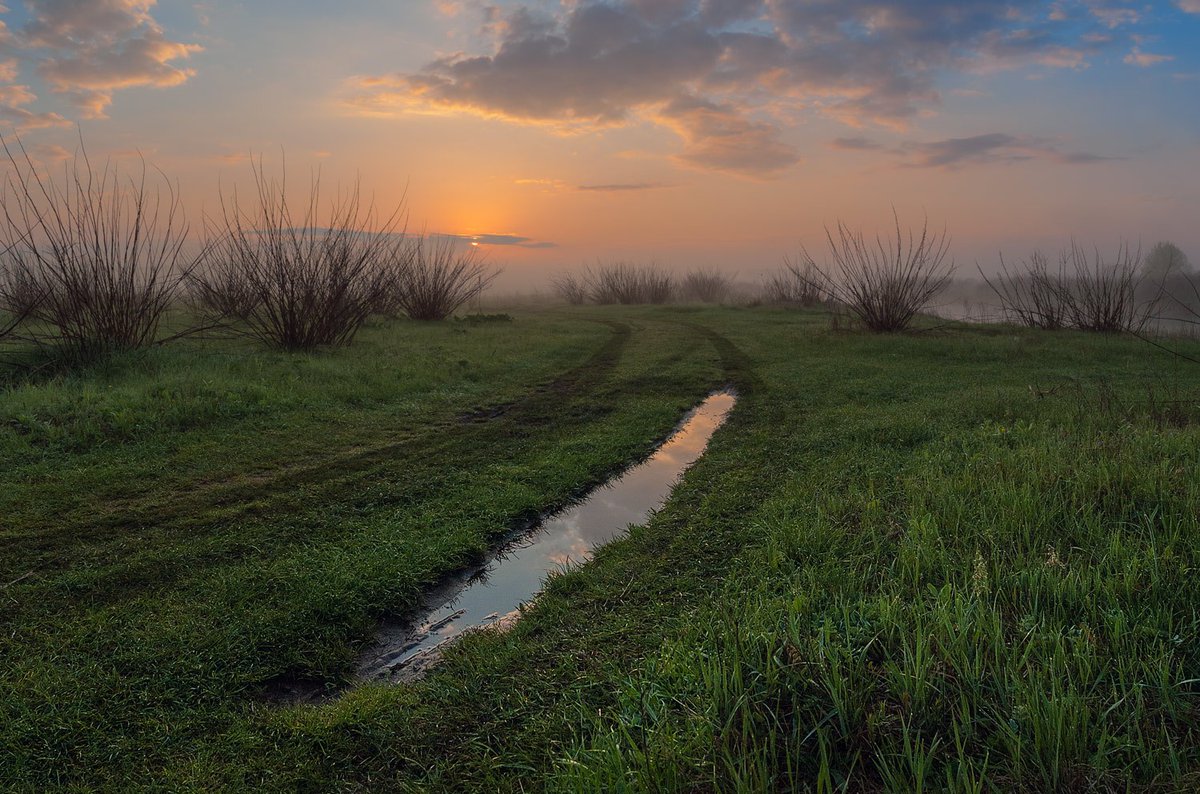 ...@FimaB....._ tweet media