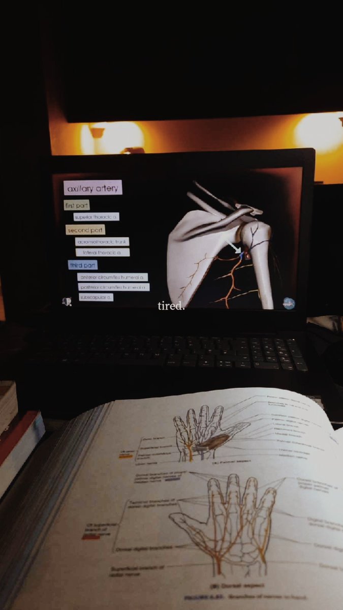 M🇵🇸 tweet media