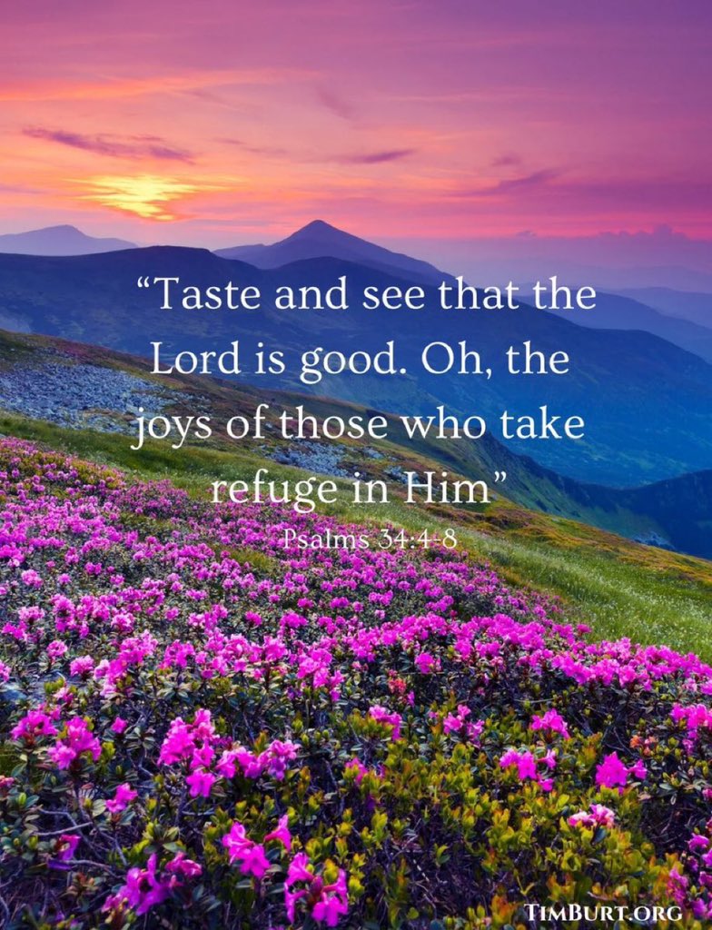 Timothy Burt tweet media