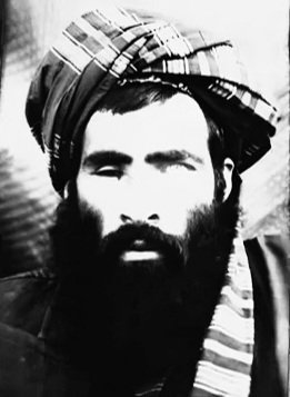 VVIREZD ☢️⚡️ tweet media