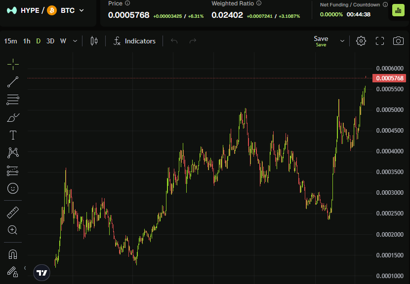 Vikingo.hl tweet media