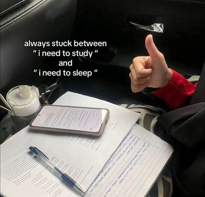 ~auline~ tweet media