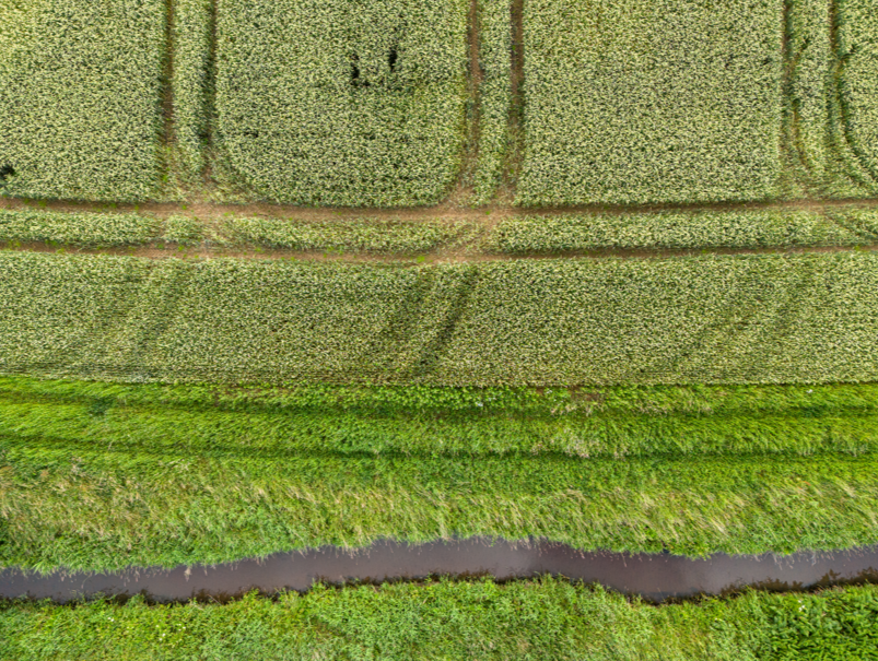 Wikimedia México tweet media