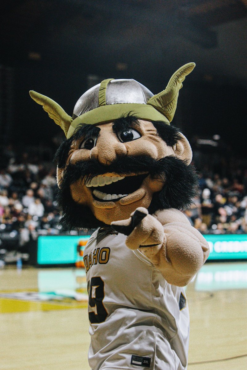 Idaho WBB tweet media