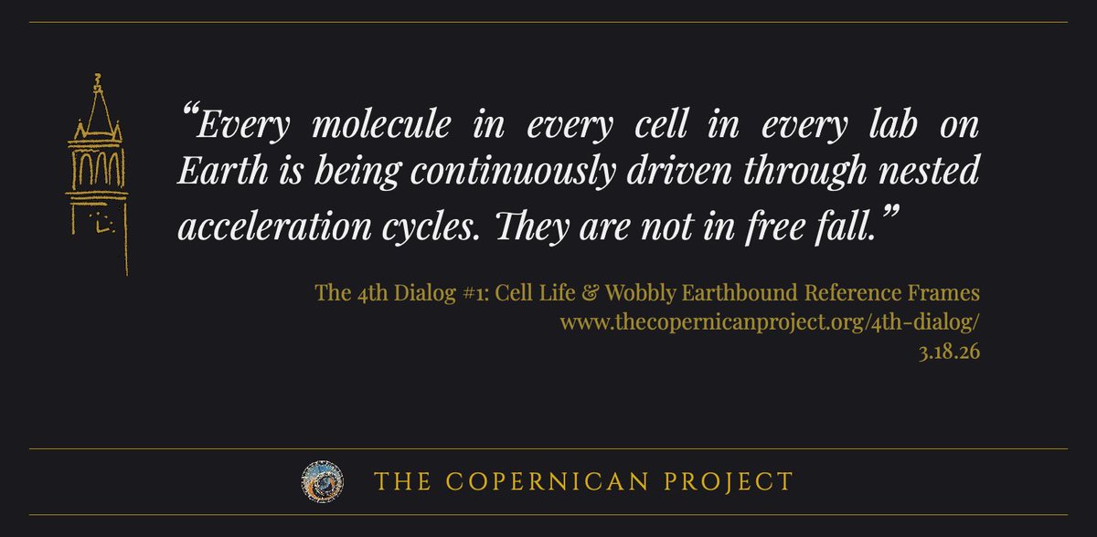 Steve Thorne tweet media