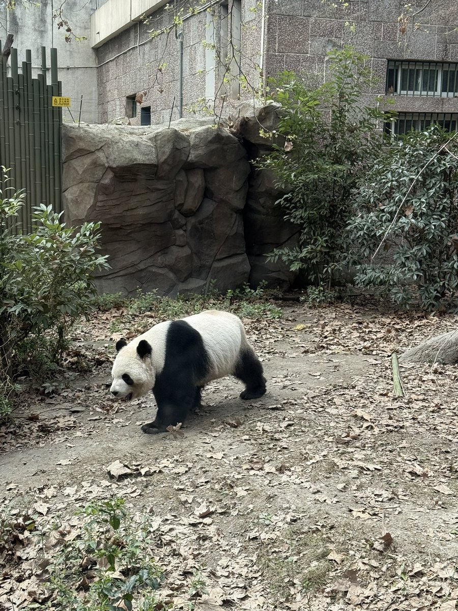 rileybeans 💖 tweet media