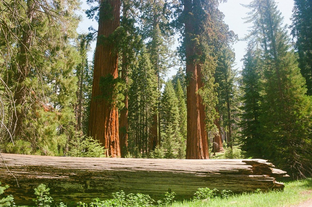 Avy Faingezicht tweet media