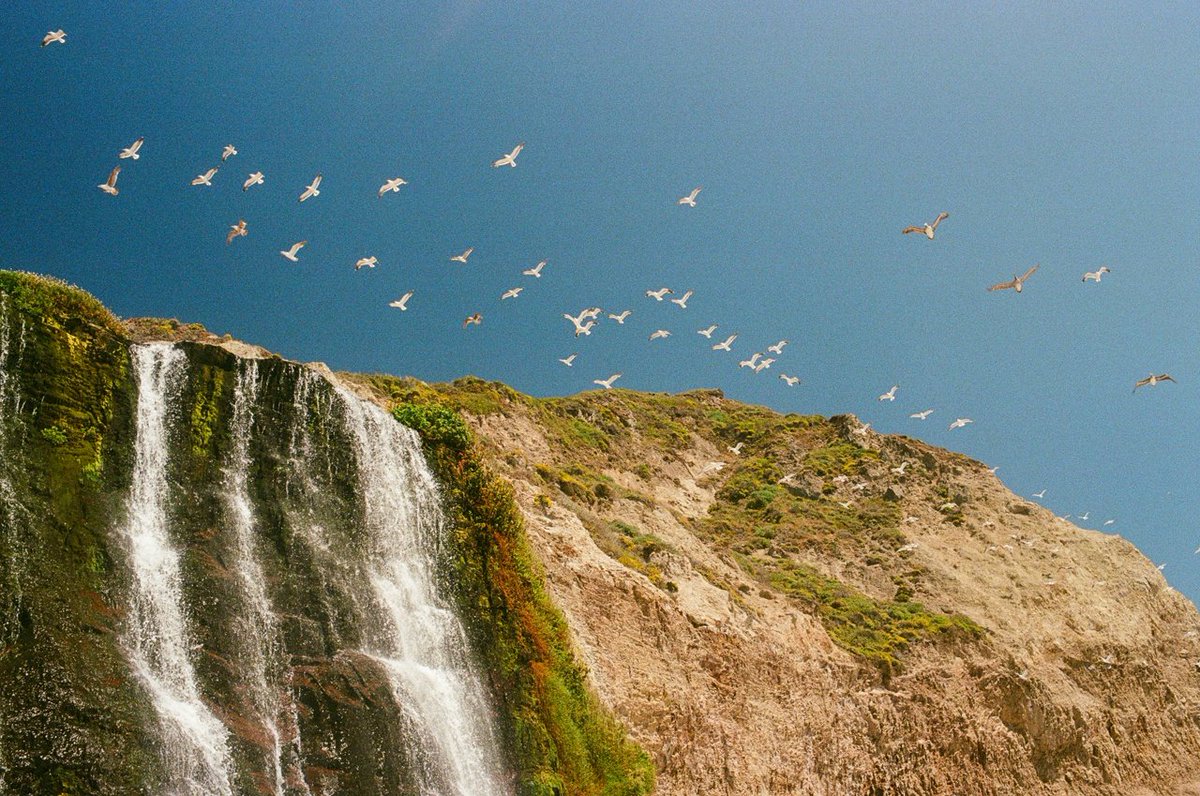 Avy Faingezicht tweet media