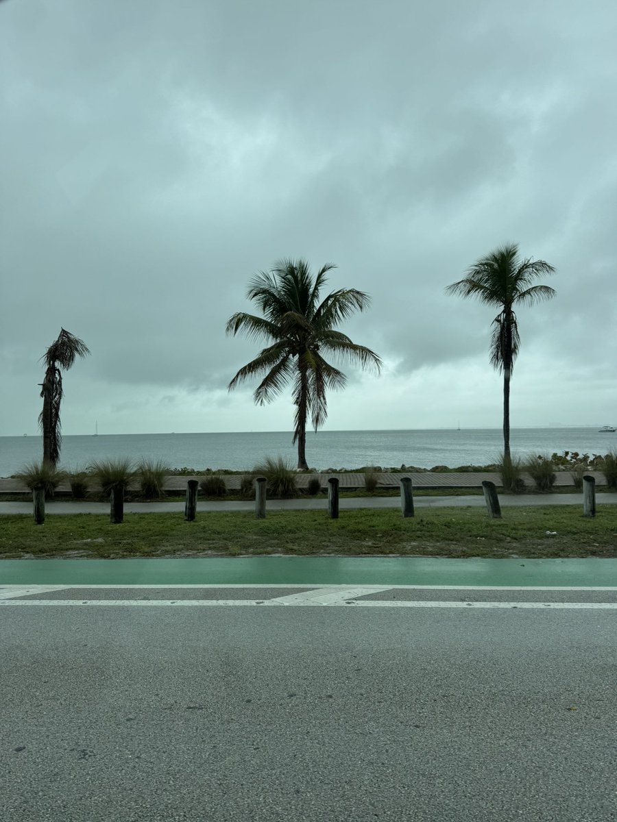 Set The Edge tweet media