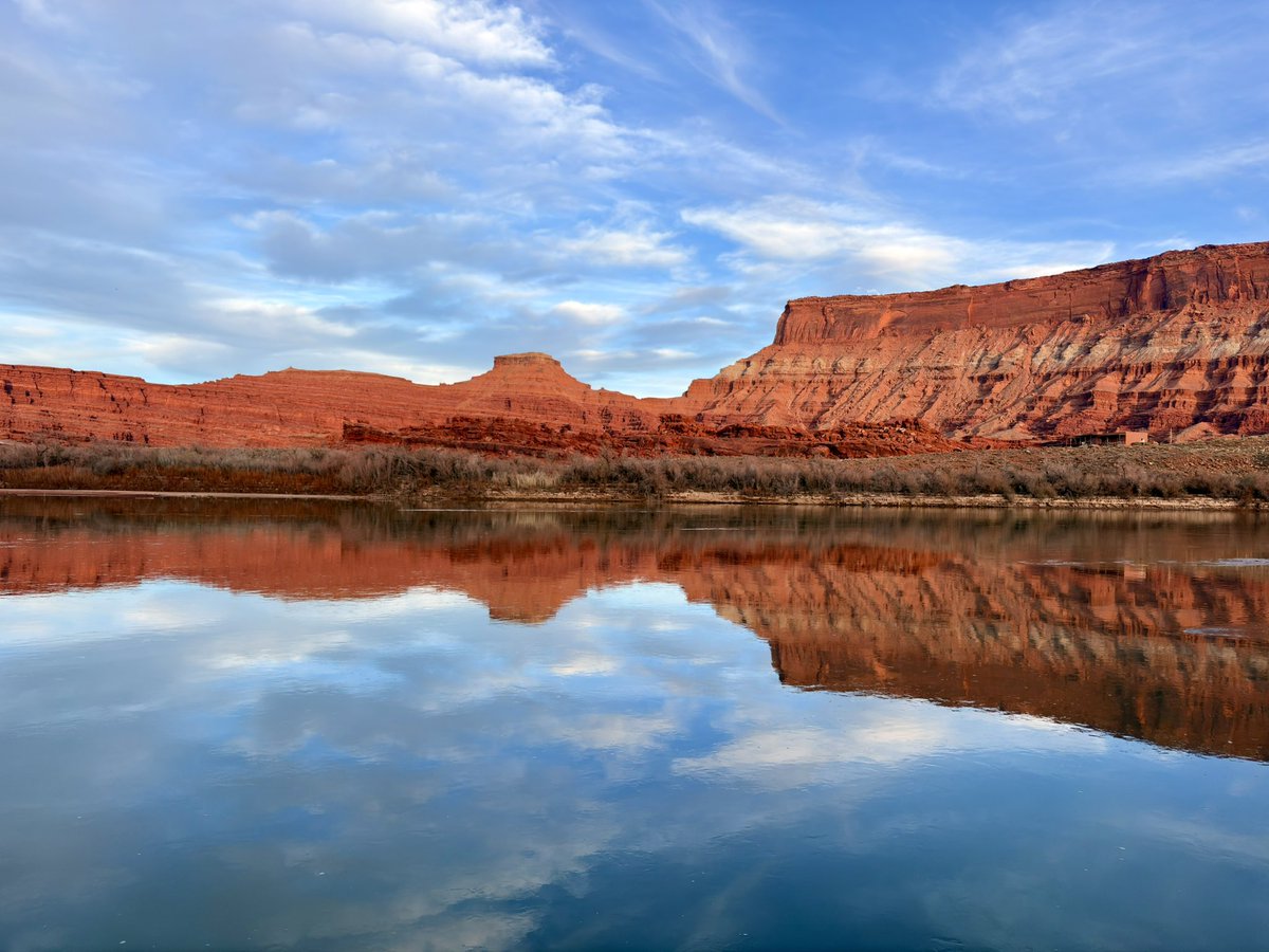 joeydude 📺💖📧 tweet media