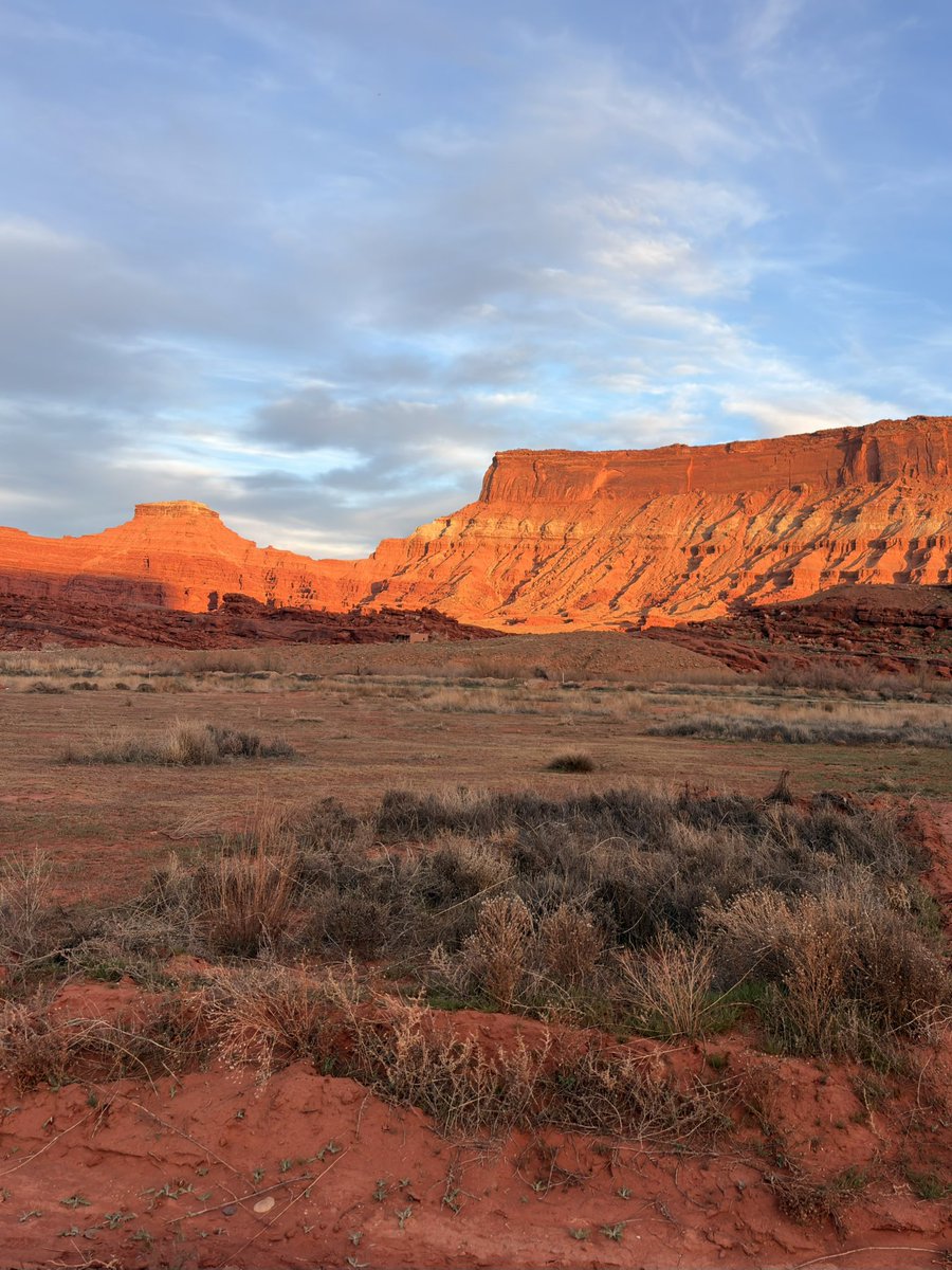 joeydude 📺💖📧 tweet media