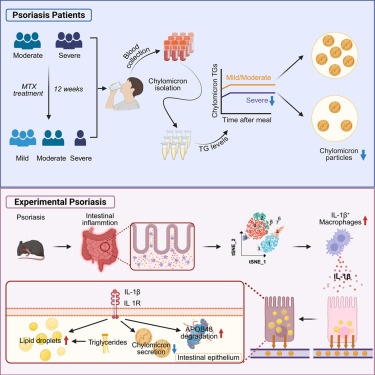 Cell Metabolism tweet media