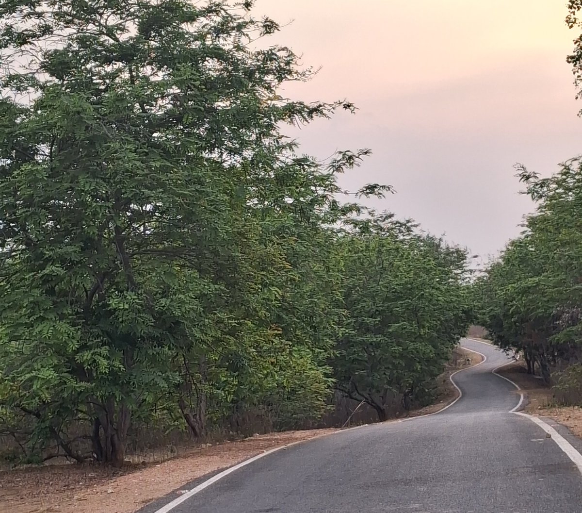 Shalini0069's tweet photo. भगवान से हवा की उम्मीद करती हूं .
उपहार स्वरूप तूफान☄️ भेज देते हैं..
फिर तूफान को झेल पाऊं .
उन्हीं से झेलने की शक्ति मांगने लग जाती हूँ..☂️
बस यही चल रही है
मेरी जिन्दगी में..
#life #lifeisstruggle https://t.co/rGmnZbOYiX