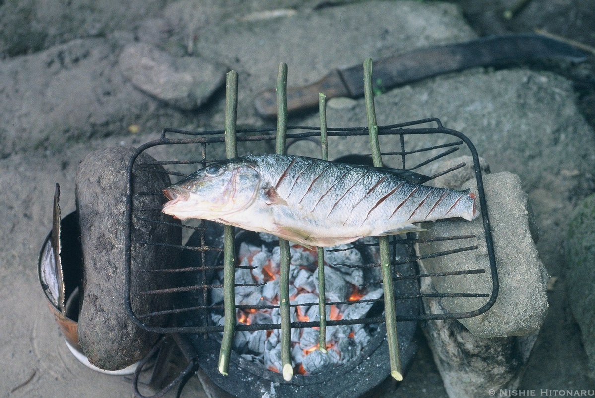 西江仁德〈新・動物記〉シリーズ tweet media