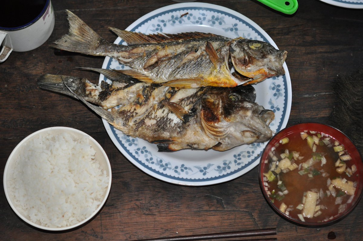 西江仁德〈新・動物記〉シリーズ tweet media