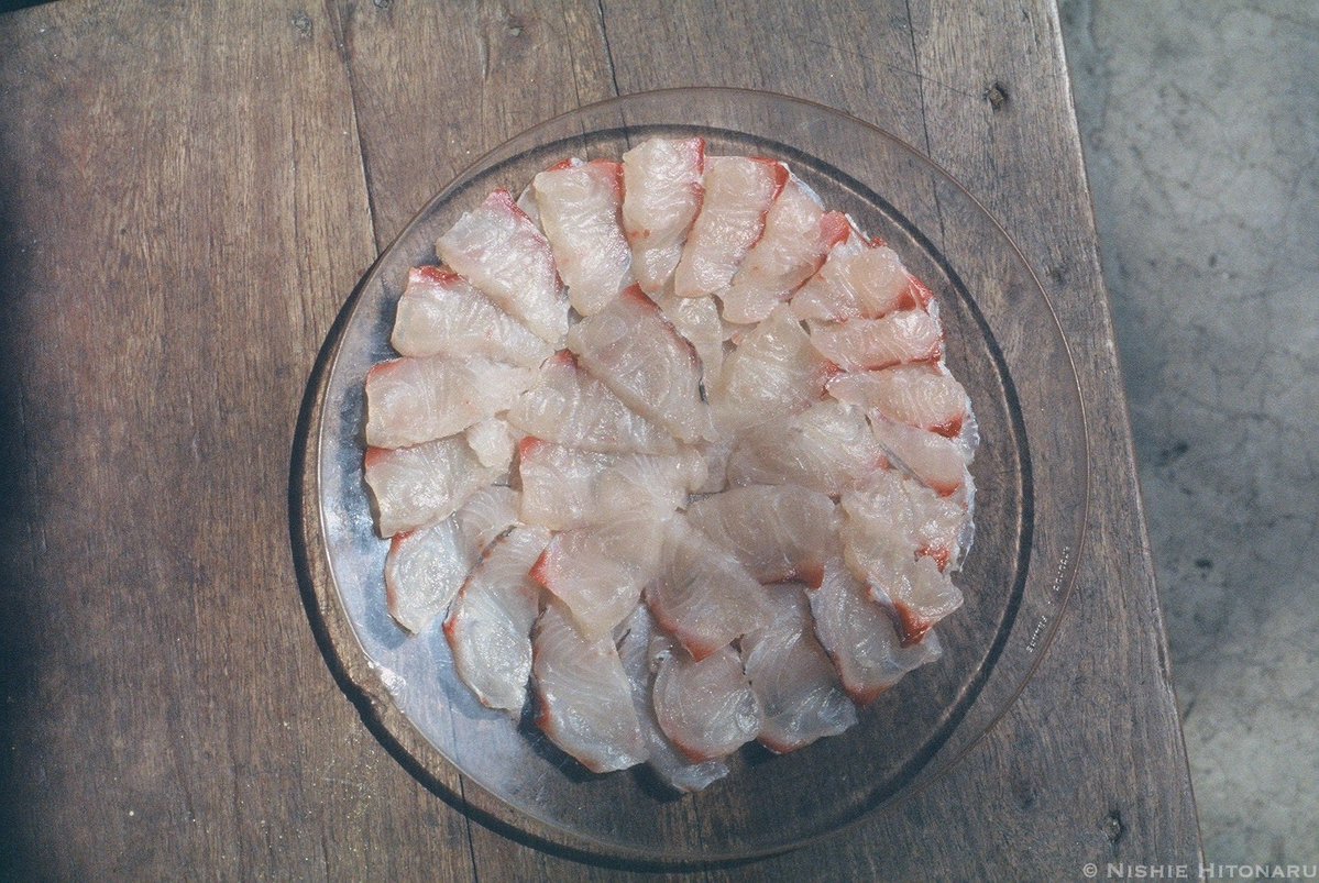 西江仁德〈新・動物記〉シリーズ tweet media