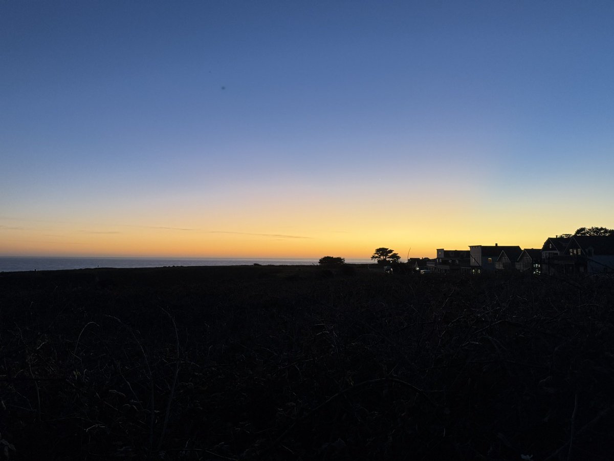 Meta Jane tweet media