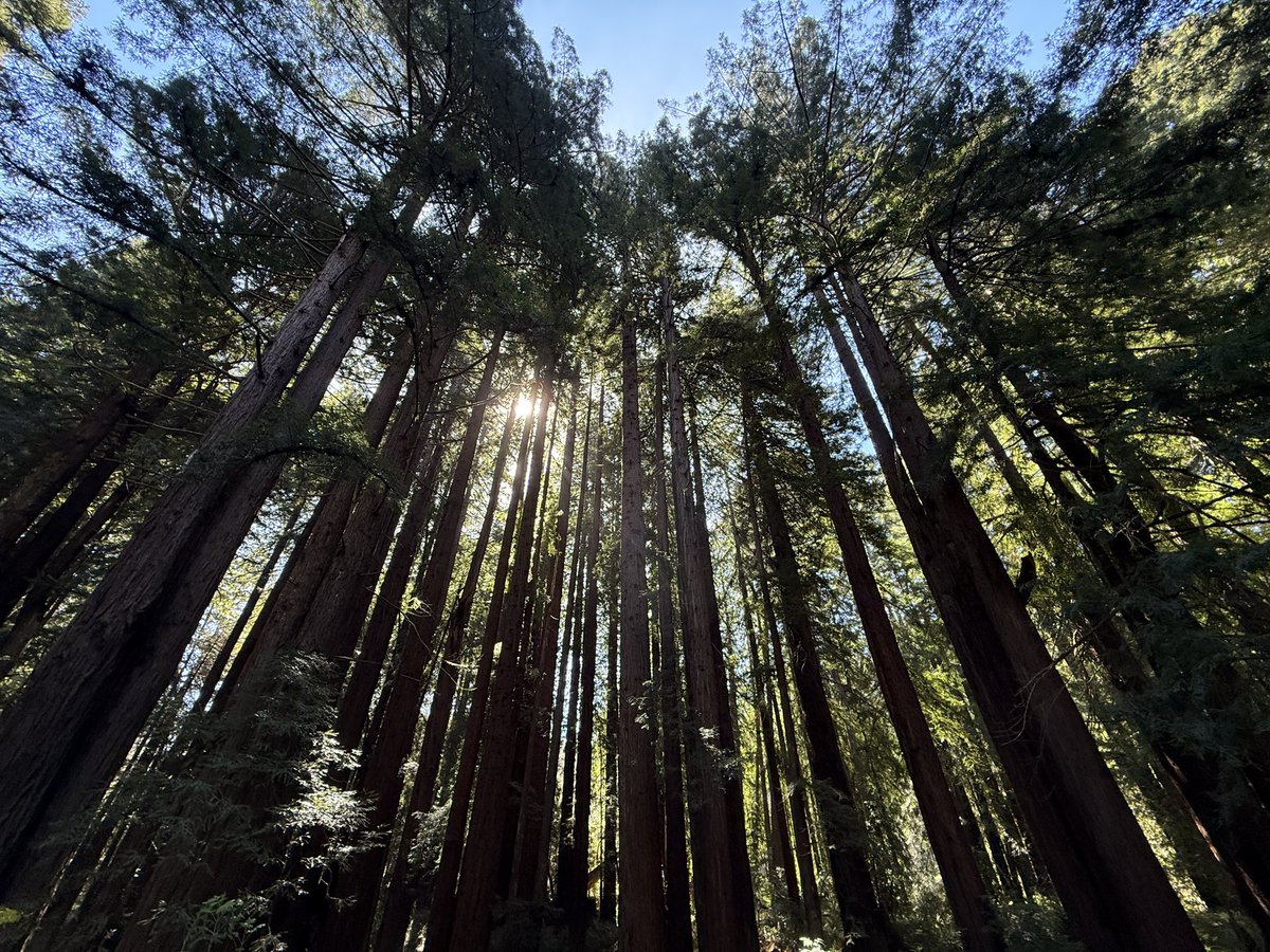 Meta Jane tweet media